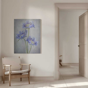 Tablou canvas „Scabiosa” de Mandy Disher