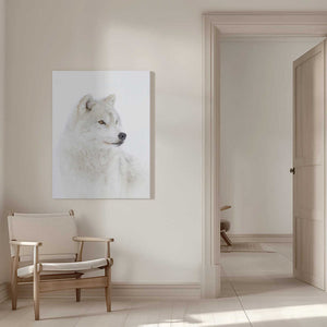 Tablou canvas „Portrait of an Arctic Wolf” de Jim Cumming