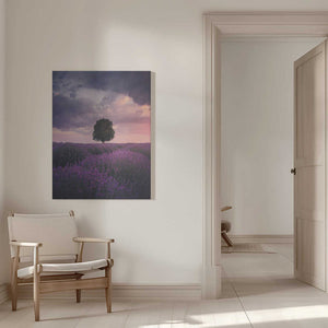 Tablou canvas „Lavender Fields, Isparta” de Cuma Cevik