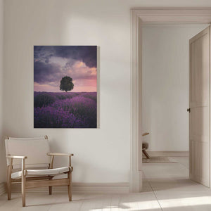 Tablou canvas „Lavender Fields, Isparta” de Cuma Cevik