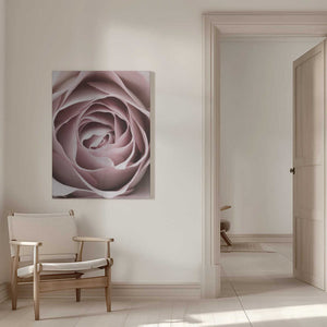 Tablou canvas „Pink Rose No 04” de Pictufy Studio III
