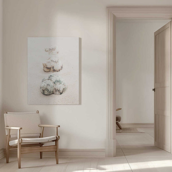 Tablou canvas „Shells” de Pictufy Studio III