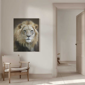Tablou canvas „Portrait of a Young Male Lion” de Linda D Lester