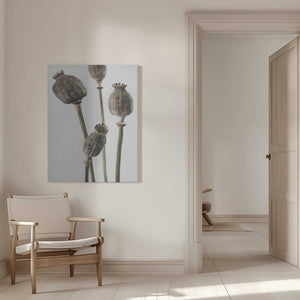 Tablou canvas „Dried_006” de Pictufy Studio III