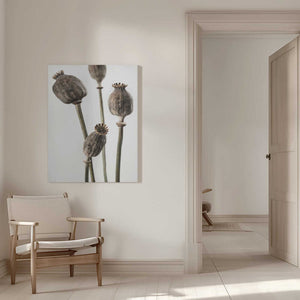 Tablou canvas „Dried_006” de Pictufy Studio III