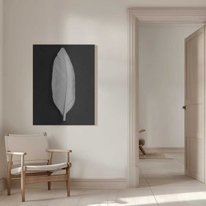 Tablou canvas „Feather_008” de Pictufy Studio III