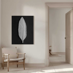 Tablou canvas „Feather_008” de Pictufy Studio III