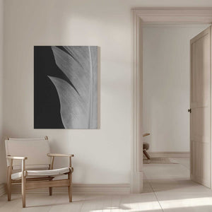 Tablou canvas „Feather_005” de Pictufy Studio III