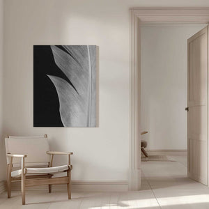 Tablou canvas „Feather_005” de Pictufy Studio III