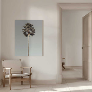 Tablou canvas „Palm_001” de Pictufy Studio III