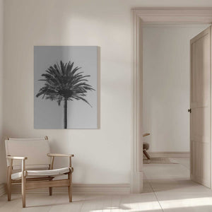 Tablou canvas „Palm_003” de Pictufy Studio III