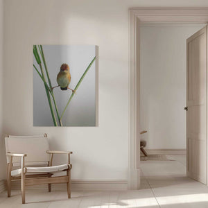 Tablou canvas „Kung Fu Master” de Lina Gunawan