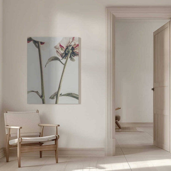 Tablou canvas „Peony 01” de Pictufy Studio III