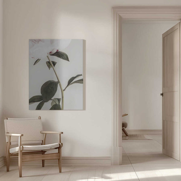 Tablou canvas „Peony 09” de Pictufy Studio III