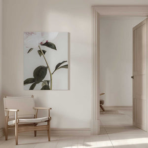 Tablou canvas „Peony 09” de Pictufy Studio III