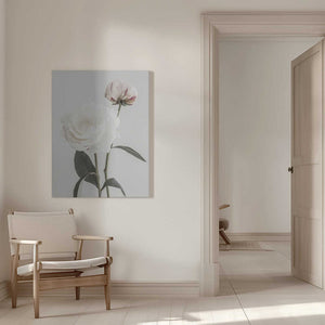 Tablou canvas „Peony 12” de Pictufy Studio III