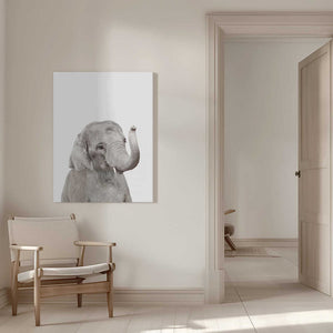 Tablou canvas „Baby Elephant” de Kathrin Pienaar