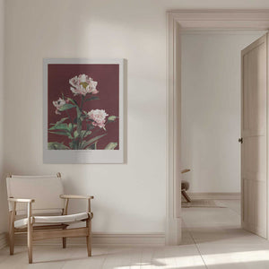 Tablou canvas „Hærdaceous Peony no2” de Ogawa Kazumasa