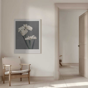Tablou canvas „Iris Kæmpferi” de Ogawa Kazumasa