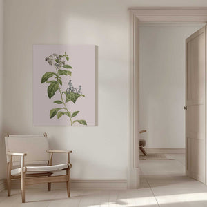 Tablou canvas „Botanical cycling” de Frida Floral Studio