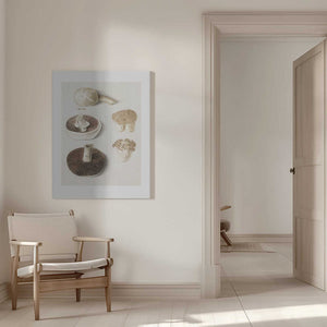 Tablou canvas „Common Meadow Mushroom, Agaricus Campestris Standing” de Anselmus Boëtius De Boodt