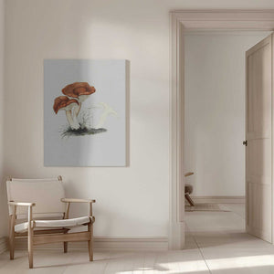 Tablou canvas „Hand Drawn Rufous Milkcap Mushroom” de Biodiversity Heritage Library
