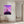 Tablou canvas „Beautiful Dream” de Ritvik takkar