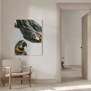 Tablou canvas „Vibrant Parrot Duo” de Shot by Clint