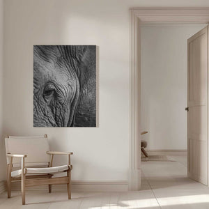 Tablou canvas „Wisdom's Wrinkles” de Shot by Clint