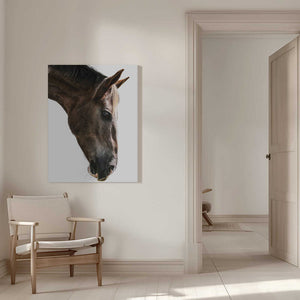 Tablou canvas „Majestic Equine Gaze” de Shot by Clint