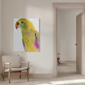 Tablou canvas „Vibrant Parrot Profile” de Shot by Clint
