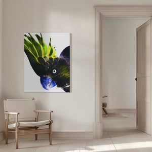 Tablou canvas „Vivid Bird Glance” de Shot by Clint