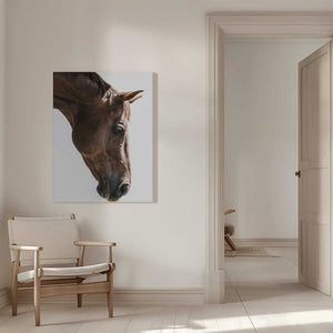 Tablou canvas „Portrait of a Horse Head” de Shot by Clint
