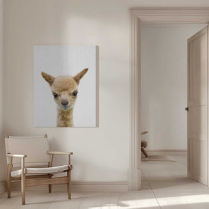 Tablou canvas „Peekaboo Baby Llama” de Lola Peacock