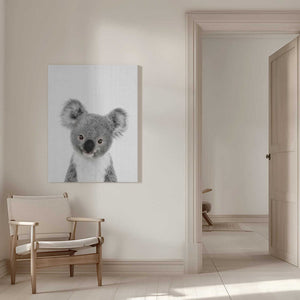 Tablou canvas „Peekaboo Baby Koala” de Lola Peacock