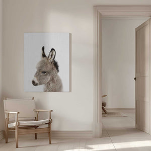 Tablou canvas „Peekaboo Baby Donkey” de Lola Peacock