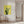 Tablou canvas „Yellow Cactus” de Lila & Lola