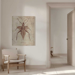 Tablou canvas „Vintage Insect Illustration” de Mike Koubou
