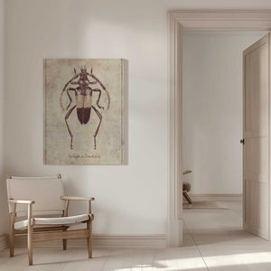 Tablou canvas „Vintage Insect Sketch” de Mike Koubou