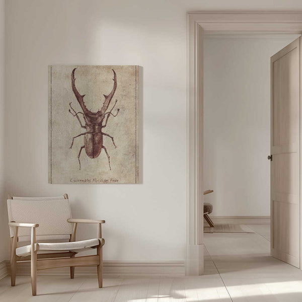 Tablou canvas „Antique Beetle Illustration” de Mike Koubou