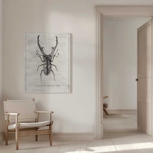Tablou canvas „Cyclommatus Metalifer Finae” de Mike Koubou