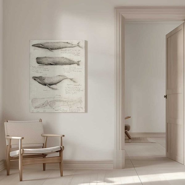 Tablou canvas „Sketches Of Various Whale” de Mike Koubou