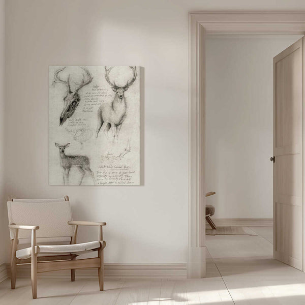 Tablou canvas „Anatomical Drawings Of Deer” de Mike Koubou