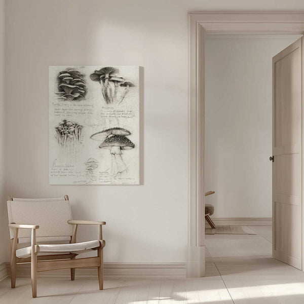 Tablou canvas „Various Botanical Mushrooms” de Mike Koubou