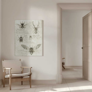 Tablou canvas „Sketches Of Beetles And Insects” de Mike Koubou
