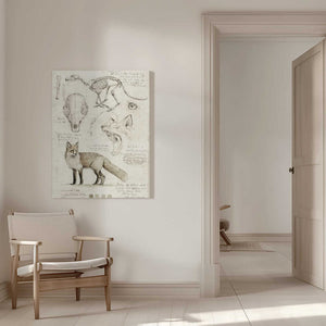 Tablou canvas „Fox Anatomy Illustration” de Mike Koubou