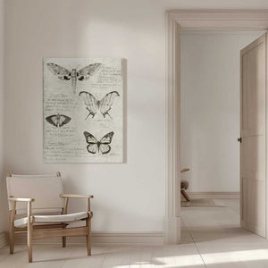 Tablou canvas „Butterfly Illustrations” de Mike Koubou