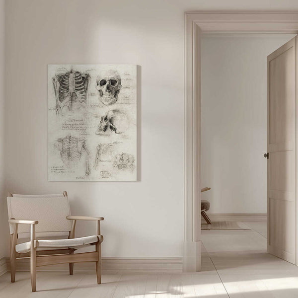 Tablou canvas „Bones of the Core Skull &amp; Ribcage Studies” de Mike Koubou