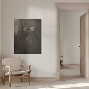 Tablou canvas „A small flower on the ground” de Allan Wallberg