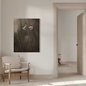 Tablou canvas „A small flower on the ground” de Allan Wallberg